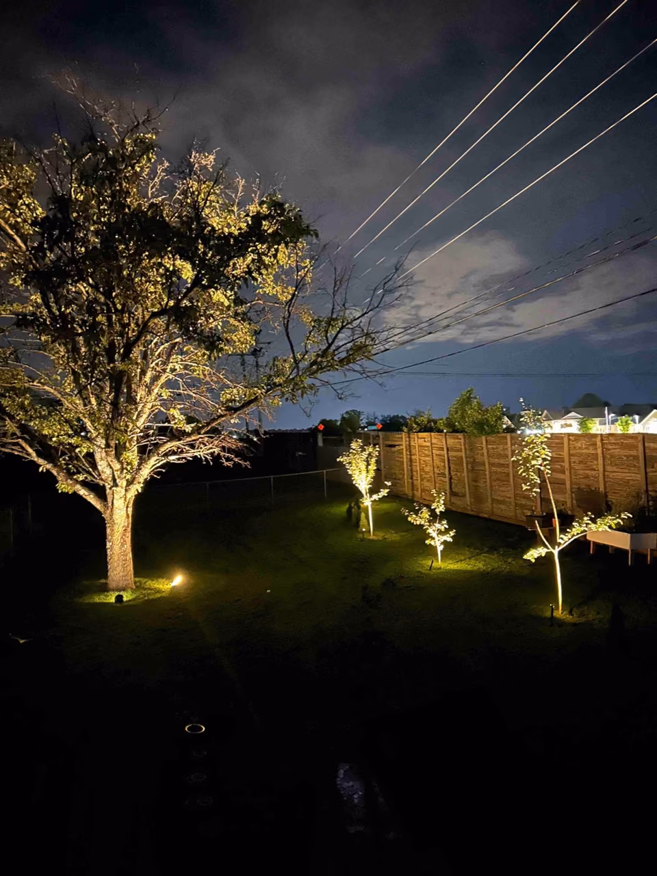 Uplighting on trees beside a garden lawn at night